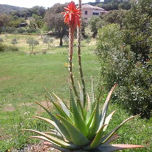Valverde Di Naitana Rita Guest house Alghero